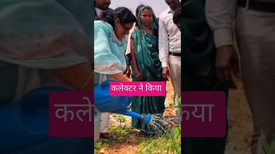 #MCB jila me कलेक्टर ne kiya vrskha ropan #shortvideo #news