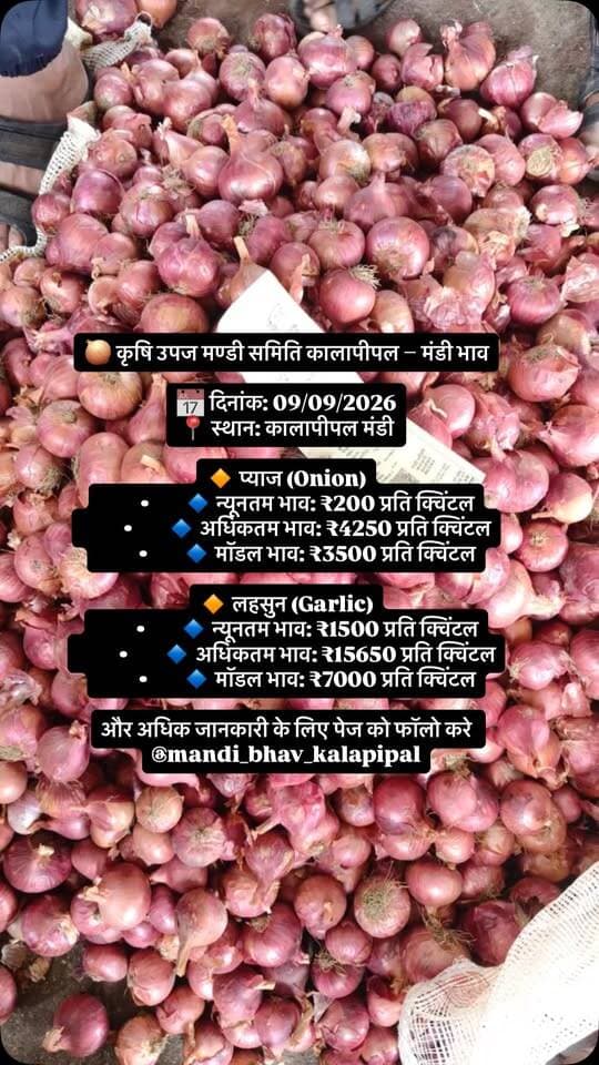 🧅 कृषि उपज मण्डी समिति कालापीपल – मंडी भाव
📅 दिनांक: 09/09/2026
📍 स्थान: कालापीपल मंडी
🔸 प्याज (Onion)
• 🔹 न्यूनतम भाव: ₹200 प्रति क्विंटल
• 🔹 अधिकतम भाव: ₹4250 प्रति क्विंटल
• 🔹 मॉडल भाव: ₹3500 प्रति क्विंटल
🔸 लहसुन (Garlic)
• 🔹 न्यूनतम भाव: ₹1500 प्रति क्विंटल
• 🔹 अधिकतम भाव: ₹15650 प्रति क्विंटल
• 🔹 मॉडल भाव: ₹7000 प्रति क्विंटल
और अधिक जानकारी के लिए पेज को फॉलो करे
कृषि उपज मंडी कालापीपल