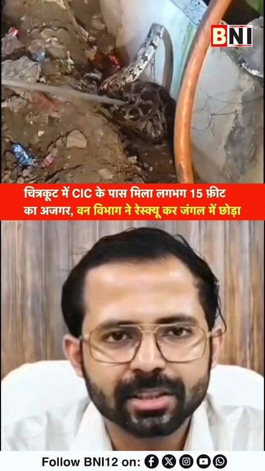 चित्रकूट में CIC के पास मिला लगभग 15 फ़ीट का अजगर, वन विभाग ने रेस्क्यू कर जंगल में छोड़ा
#Chitrakoot #karwi #python #viralvideo #BreakingNews