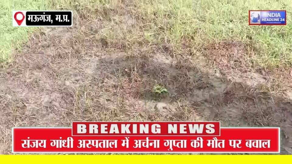 Mauganj-एक महीने से जला 100 KV ट्रांसफार्मर, फिर खुद मैदान में उतरे इंजी. जयवीर सिंह सेंगर! 9 दिन में ग्रामीणों को मिला नया ट्रांसफार्मर,
#MadhyaPradesh #MPNews #RewaNews #DevTalab #Rewa #Jhalwar #Mauganj #Vindhya #MadhyaPradeshNews #MPPolitics #PublicService #JanSeva #ElectricityProblem #Transformer #RuralNews #VillageNews #BreakingNews #LatestNews #IndiaHeadline24