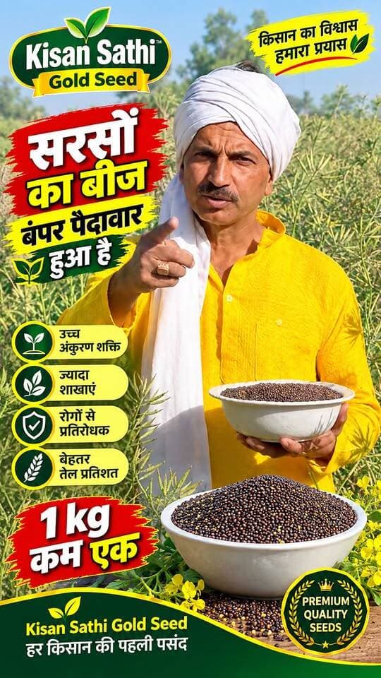 🌱 सरसों का ऐसा बीज! बंपर पैदावार के लिए किसान जरूर देखें 🔥 | Kisan Sathi Gold Seed
#सरसों #सरसोंकीखेती #सरसोंकाबीज #MustardFarming #MustardSeed #KisanSathi