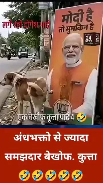 एक बेखौफ कुत्ते का वायरल विडिओ जरूर देखें!#viralvideo #viralshorts #viralreels