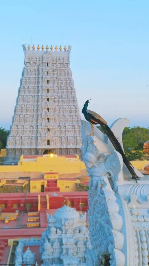 Location: Tiruchendur Murugan Temple, Tamil Nadu 📍
Standing proudly beside the Gulf of Mannar, this ancient temple is one of the six sacred abodes of Lord Murugan — Arupadai Veedu. 🌊🔱
Legend says this is where Lord Murugan defeated Surapadman, symbolising the victory of good over evil. 🔥
Where ancient faith meets the endless sea. 🙏🌊
#southindia #reels #trending #travelling #murugantemple