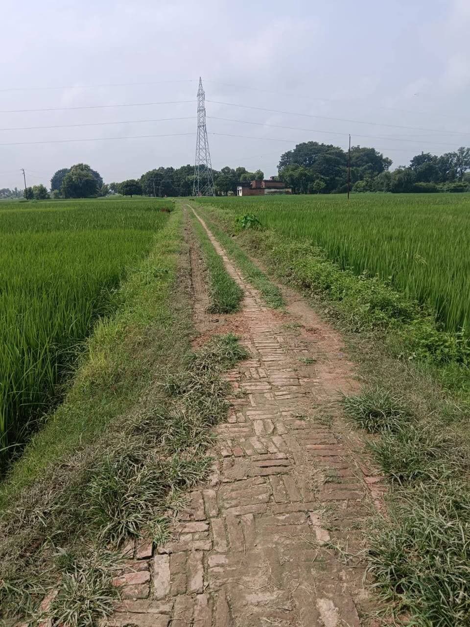 यह है मुहम्मदाबाद गोहना ब्लाक के चालीसवाँ ग्राम सभा का विकास ,
यादव बस्ती से पटेल गांव तक जाने वाला मुख्य मार्ग बदहाल...
स्थानीय लोगो ने ग्राम प्रधान पर लगाए गंभीर आरोप ....
पूरी खबर का ग्राउंड रिपोर्ट बहुत जल्द ...