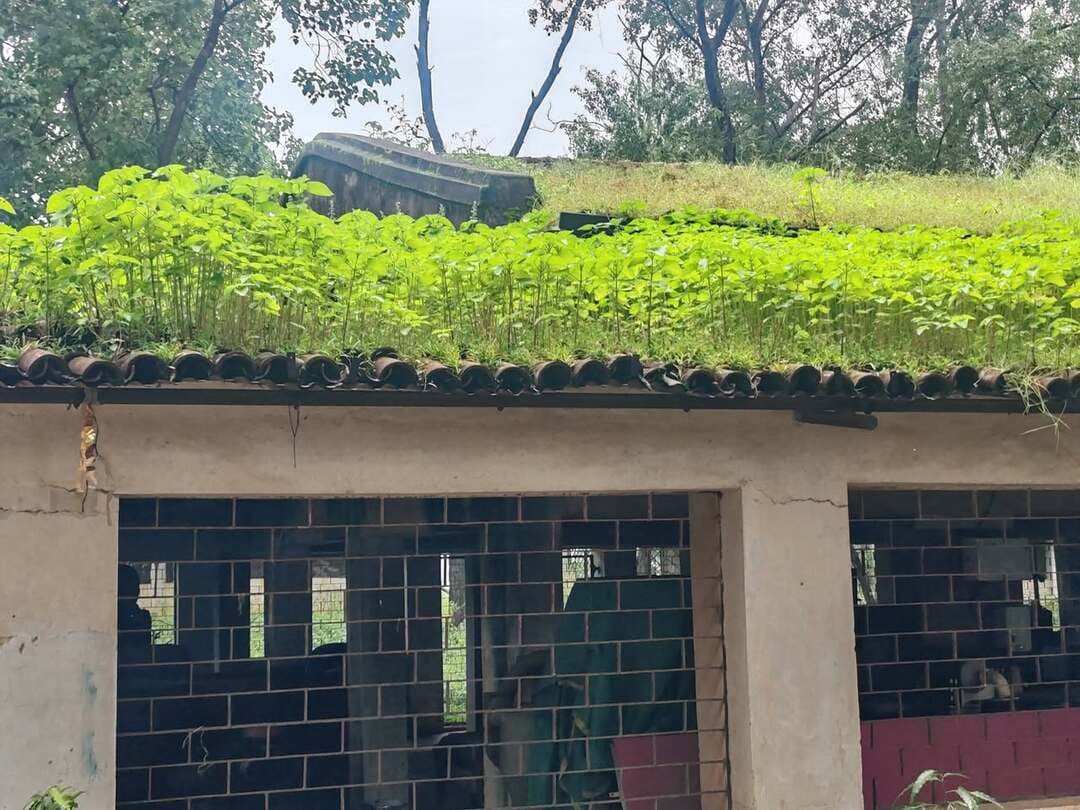 किसको कृषि विज्ञान केंद्र सफाई अभियान की कमी