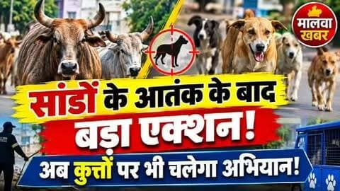 सुसनेर: सांडों के आतंक के बाद बड़ा एक्शन!”
“अब कुत्तों पर भी चलेगा अभियान!”
#सुसनेर #आगरमालवा #नगरपरिषदसुसनेर #सांडोंकाआतंक #आवारापशु गोवंश आवाराकुत्ते नगरपरिषद सीएमओ हरिओमशर्मा ट्रैफिकव्यवस्था हाथीदरवाजा सुसनेरन्यूज MalwaKhabar MalwaNews Susner AgarMalwa BreakingNews LocalNews MadhyaPradeshNews