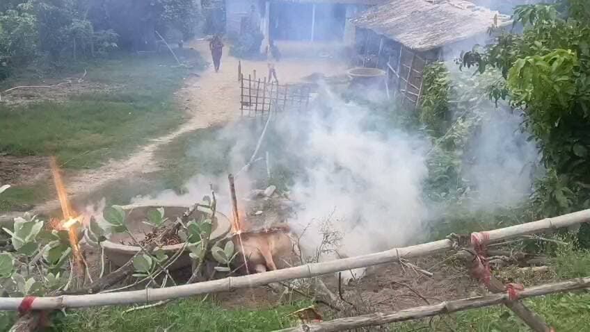 मधुबनी में टूटा 11 हजार वोल्ट का बिजली तार, गायों पर गिरा; करंट लगने से 2 गायों की मौके पर मौत ।।
the Real Mithila Darbhanga Police DM Darbhanga Reshma Ara Mukhiya Gonoun Darbhanga Dainik Bhaskar Darbhanga Sadar
#BiharNews #BiharPolice #viralpost