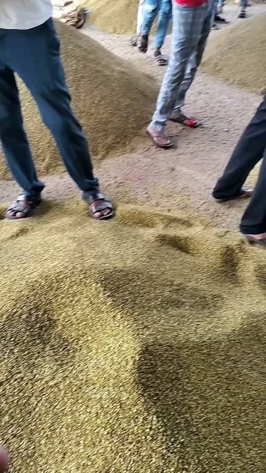 Pipariya mandi 10/09/2026 #viral #mandi #pipariya