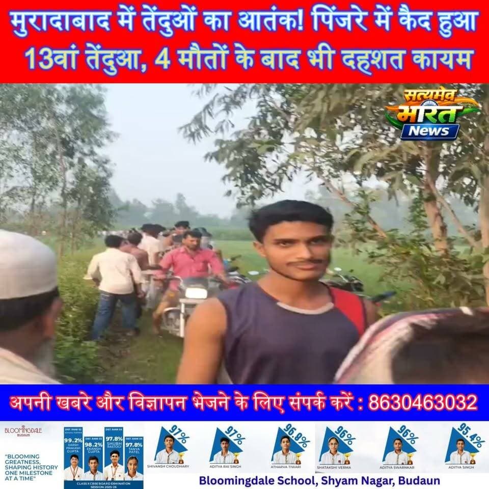 मुरादाबाद में तेंदुओं का आतंक! पिंजरे में कैद हुआ 13वां तेंदुआ, 4 मौतों के बाद भी दहशत कायम | #Moradabad #Leopard #LeopardTerror #LeopardRescue #Wildlife #ForestDepartment #UPNews #BreakingNews #SatyamevBharatNews सत्यमेव भारत न्यूज Vikendra Sharma Er Rana Pratap Singh Tejan Rastogi