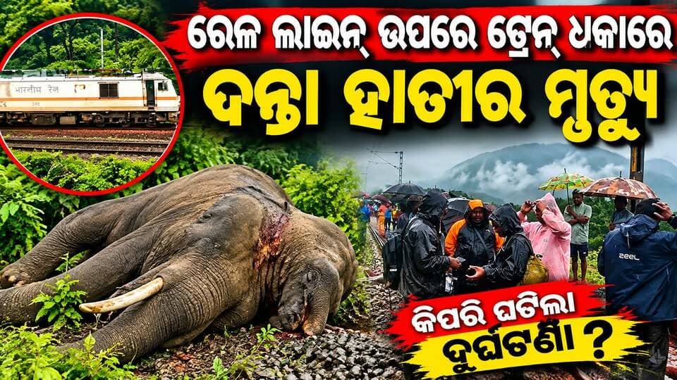 ରେଳ ଲାଇନ ଉପରେ ଟ୍ରେନ ଧକାରେ ଦନ୍ତା ହାତୀ ର ମୃତ୍ୟୁ
#Jeypore #jeyporenews #jeyporeupdatenews #jeyporesocialmedia #koraputupdate #koraput #Rayagada #Malakangiri #Nabarangpur #viralpost2024 #viralfacebookpage #public #highlightseveryonefollowers2025 #highlights #dmkoraput #CMOdisha #facebookfollowersfollowers #jeyporemuncipalty #koraputpolice #viralpost #viralvideoシ