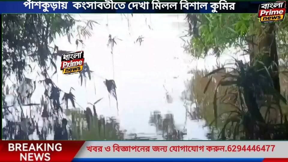 পাঁশকুড়ার কংসাবতীতে নদীর জলে কুমিরের ভাইরাল ছবি ? আতঙ্ক পাঁশকুড়াবাসী।
#paskura #PurbaMedinipur
#viralvideo