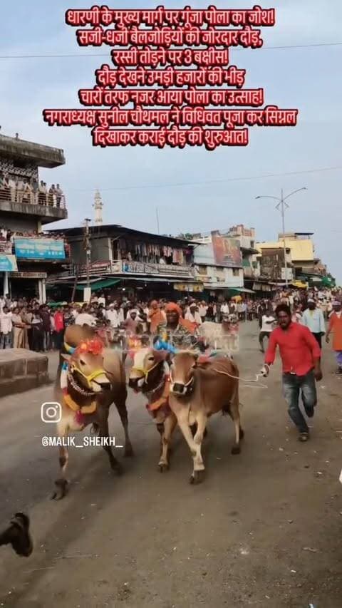 धारणी के मुख्य मार्ग पर गूंजा पोला का जोश!
सजी-धजी बैलजोड़ियों की जोरदार दौड़, रस्सी तोड़ने पर 3 बक्षीस!
दौड़ देखने उमड़ी हजारों की भीड़
देखिए धारणी के पोला पर्व की शानदार तस्वीरें…
MALIK SHEIKH DHARNI | Voice of Melghat
#dharni #melghat #amravati #breakingnews #viralnews