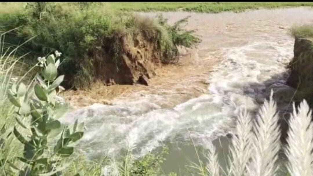 नाथूसरी चौपटा क्षेत्र में गांव दड़बा कलां के समीप टूटी शेरांवाली नहर, 25 एकड़ में जलभराव
नाथूसरी चौपटा। क्षेत्र के गांव दड़बा कलां के समीप शेरांवाली नहर वीरवार दोपहर को टूट गई। इससे पानी खेतों की तरफ तेजी से बढऩे लगा। नहर टूटने की सूचना सिंचाई विभाग के कर्मचारियों को दी गई। जिस पर शेरांवाली नहर को नहराना हेड से बंद करवाया गया। नहर टूटने से करीबन 25 एकड़ धान की फसल में जलभराव हो गया।
अचानक टूट नहर, पांच मिनट पहले गुजरे सिंचाई विभाग के कर्मचारी
शेरांवाली नहर में गांव दड़बा कलां के समीप 31 हजार बर्जी के पास वीरवार को करीबन 3 बजे अचानक टूट गई। खेतों में कार्य कर रहे किसानों ने नहर टूटने की सूचना सिंचाई विभाग के कर्मचारियों को दी। इसके बाद सिंचाई विभाग के कर्मचारी मौके पर पहुंचे और शेरांवाली नहर को नहराना हेड से बंद करवाया गया। सिंचाई विभाग के कर्मचारियों ने बताया कि पांच मिनट पहले यहां से गुजरे थे। इसके बाद अचानक नहर के किनारे से धस गई। इससे नहर में करीबन 40 फीट तक कटाव हो गया। वहीं नहर का पानी तेजी से खेतों की तरफ बढऩे लगा। सिंचाई विभाग के अधिकारियों ने बताया कि जैसे नहर से पूरा पानी बंद हो जाएगा। इसके बाद नहर को ठीक करने का कार्य किया जाएगा।