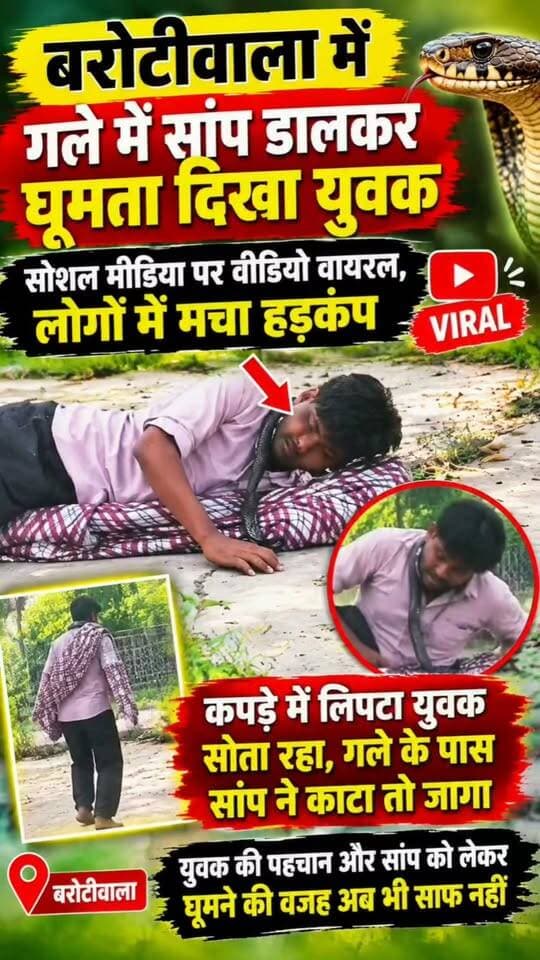 बरोटीवाला में गले में सांप डालकर घूमता दिखा युवक, वीडियो वायरल
कपड़े में लिपटा युवक सोता रहा, गले के पास सांप ने काटा तो जागा
वीडियो सामने आते ही लोगों में मचा हड़कंप, युवक की पहचान अज्ञात
सांप को लेकर घूमने की वजह अब तक साफ नहीं, जांच का इंतजार
#Barotiwala #Baddi #HimachalPradesh #Snake #ViralVideo #SnakeViralVideo #BarotiwalaNews #BaddiNews #HimachalNews #ViralNews