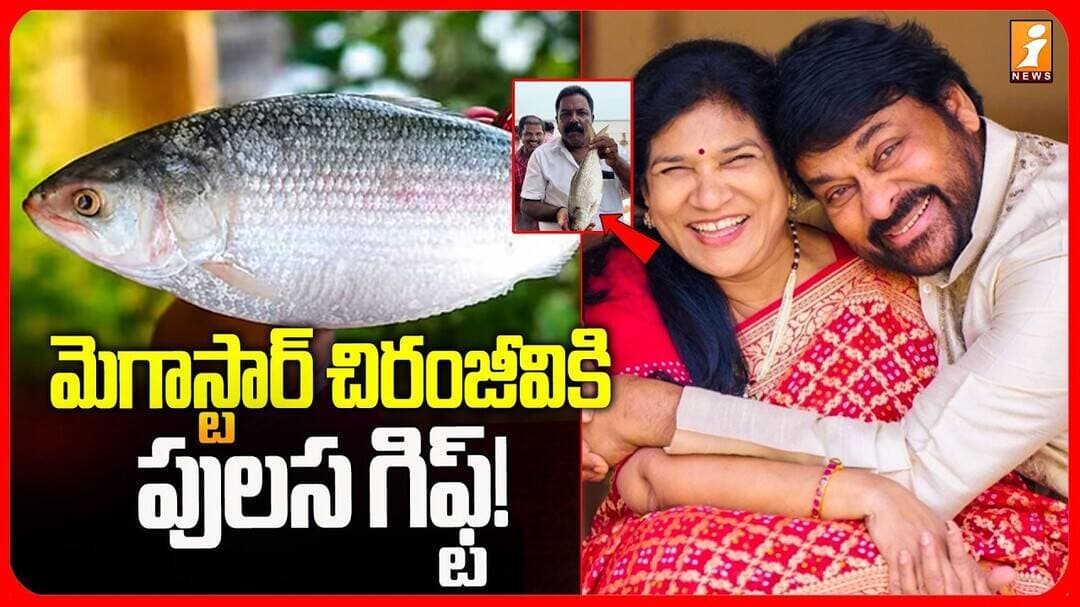 Pulasa Fish To Megastar House | మెగాస్టార్ చిరంజీవికి పులస గిఫ్ట్! | iNews Telugu