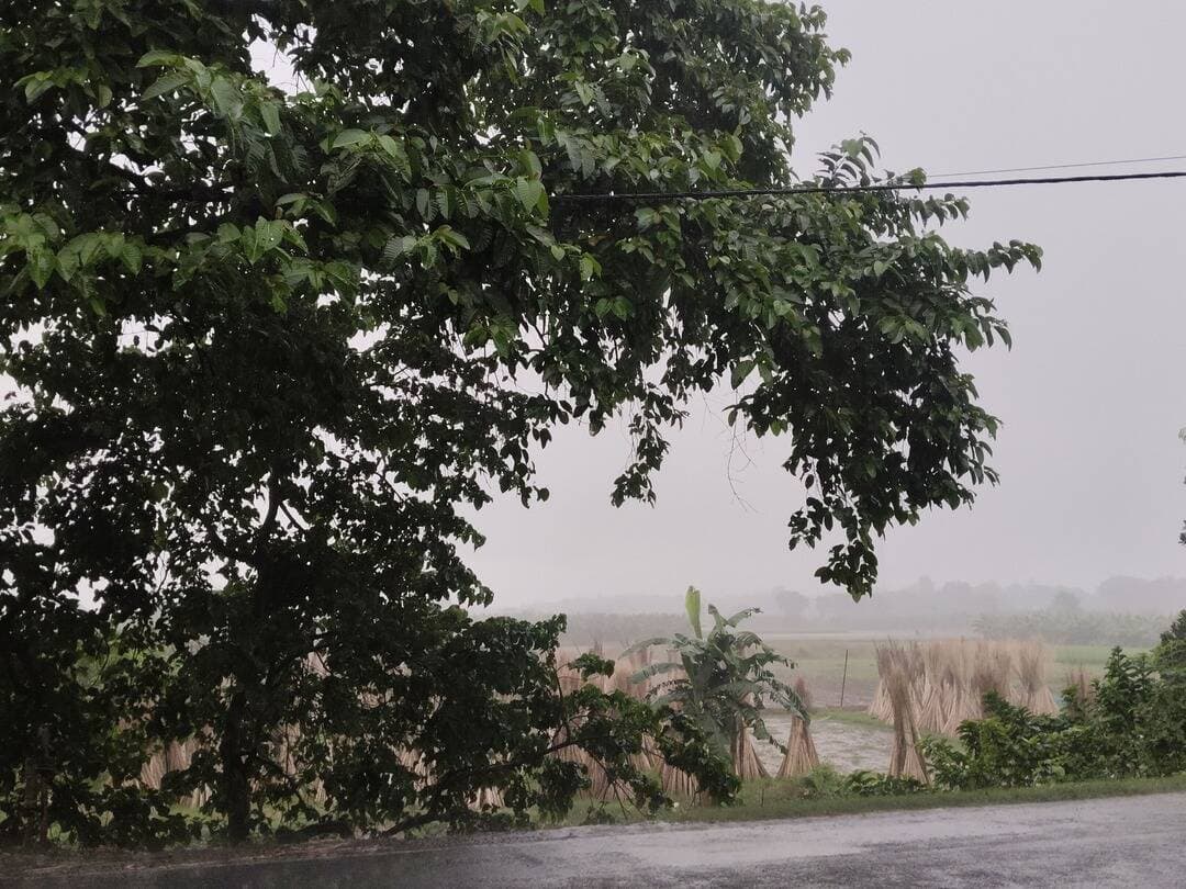আবার বৃষ্টি <nis:link nis:type=tag nis:id=rainyday nis:value=rainyday nis:enabled=true nis:link/>