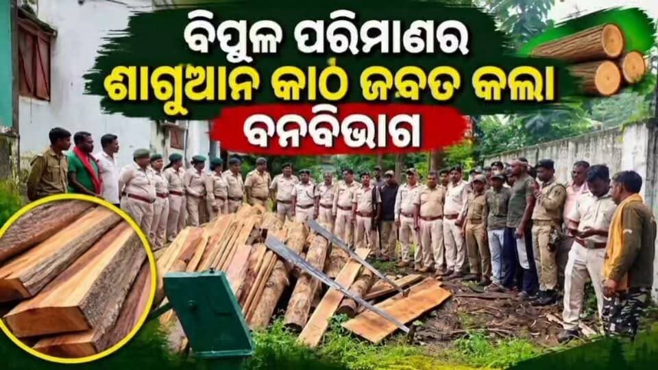 ବିପୁଳ ପରିମାଣର ଶାଗୁଆନ କାଠ ଜବତ କଲା ବନବିଭାଗ #Nabarangpur #National24