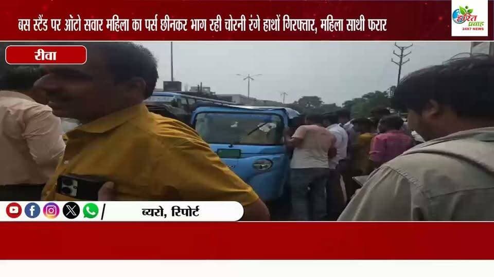 बस स्टैंड पर ऑटो सवार महिला का पर्स छीनकर भाग रही चोरनी रंगे हाथों गिरफ्तार, महिला साथी फरार ऑटो में जबरन घुसकर दिया वारदात को अंजाम
#CrimeNews
#CrimeUpdate
#PoliceAction
#CrimeReport
#क्राइम_न्यूज
#PoliceInvestigation
#CrimeStory
#BreakingCrimeNews