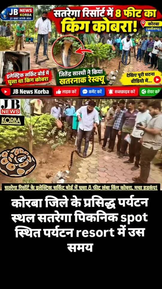 🐍 सतरेगा रिसॉर्ट के इलेक्ट्रिक सर्किट बोर्ड में घुसा 8 फीट लंबा किंग कोबरा, मचा हड़कंप!देखिए विडिओ
https://jbnewskorba.in/🐍-सतरेगा-रिसॉर्ट-के-इलेक्/