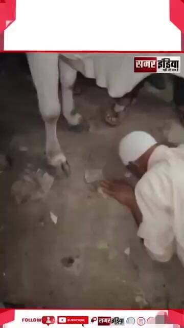 MP: बुज़ुर्ग मुस्लिम से गाय के सामने माफी मंगवाई? | Guna Jamner Viral Video #Shorts