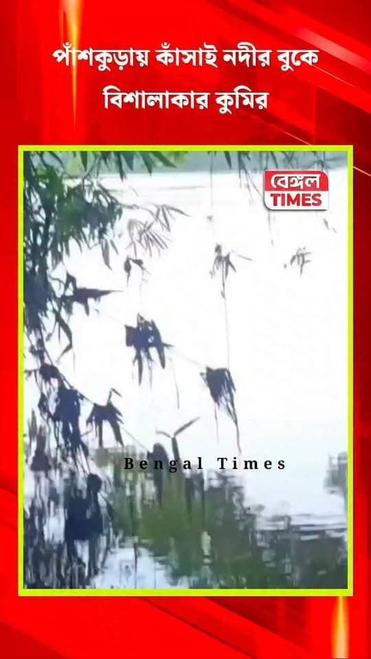 পাঁশকুড়ায় কাঁসাই নদীর বুকে
বিশালাকার কুমির, আতঙ্কে গ্রামবাসী