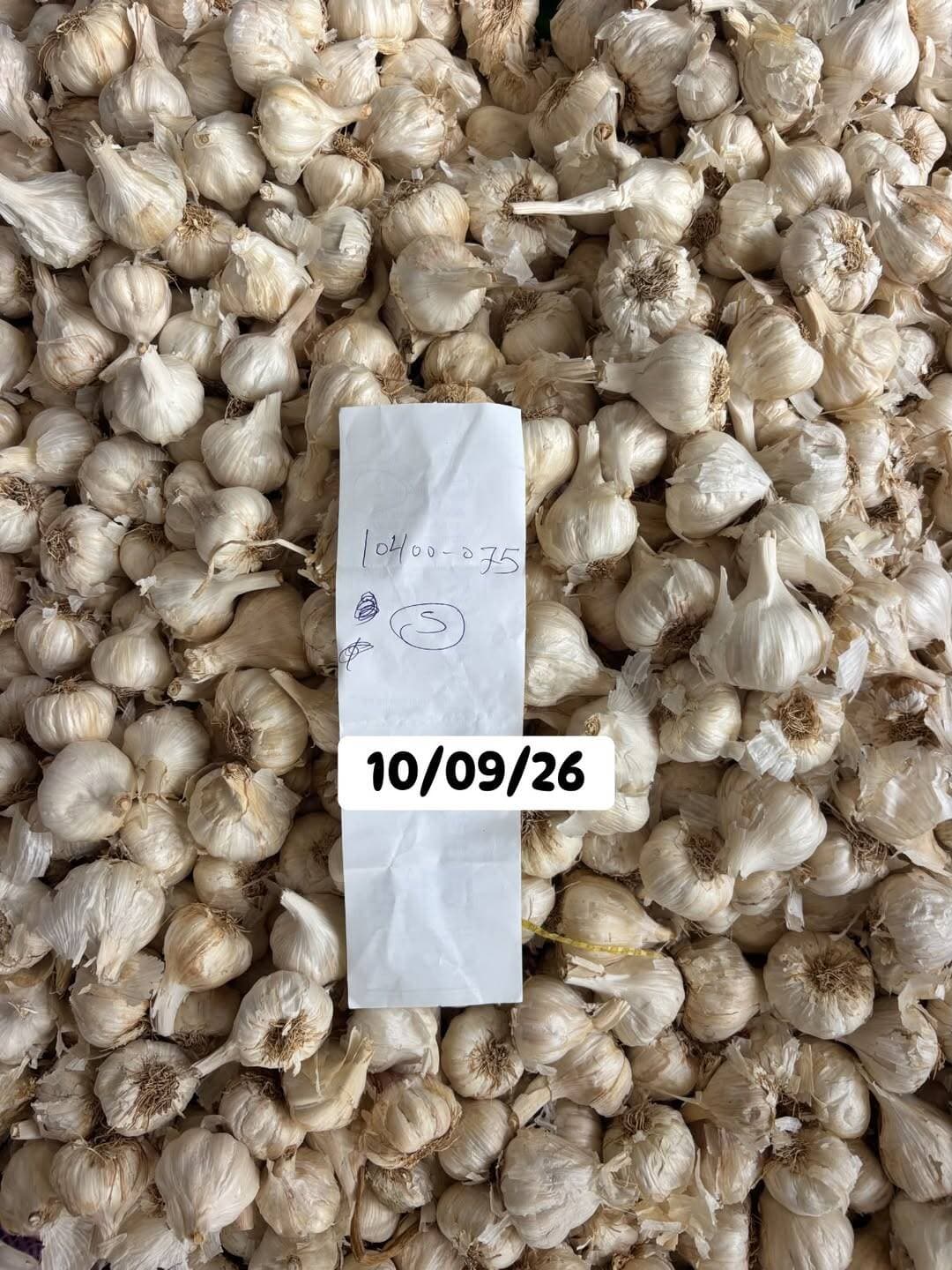 Image post