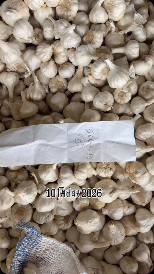 10 सितंबर 2026