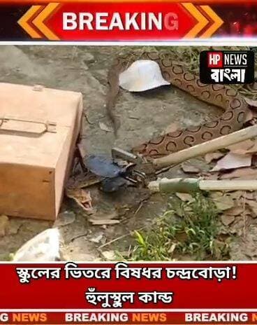 স্কুলের ভিতরে বি*ষ*ধর চন্দ্রবোড়া! হুঁ*লু/স্থু*ল কা*ন্ড