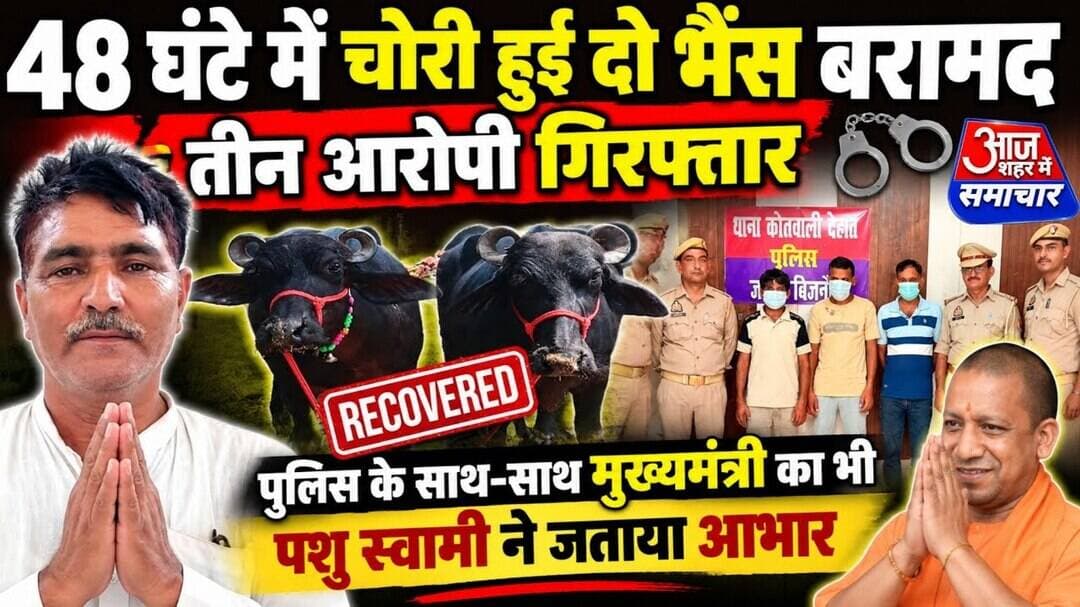 48 घंटे में चोरी हुई दो भैंस बरामद,तीन आरोपी गिरफ्तार #asm news