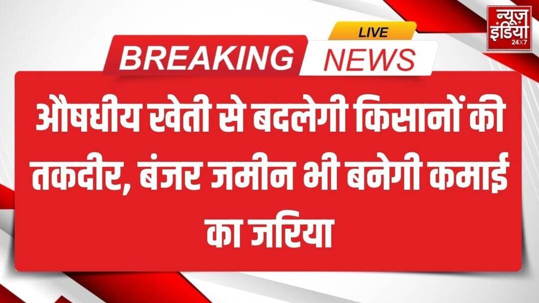 Medicinal Farming: औषधीय खेती से बदलेगी किसानों की तकदीर, बंजर जमीन भी बनेगी कमाई का जरिया