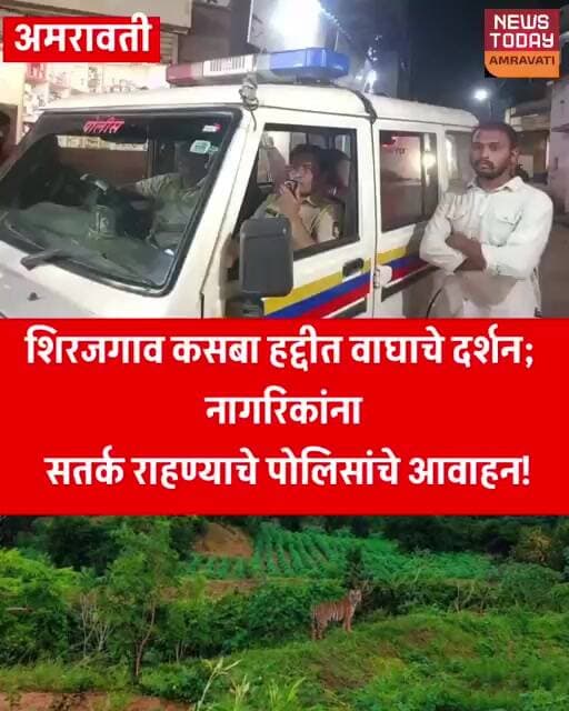 🐅शिरजगाव कसबा हद्दीत वाघाचे दर्शन; नागरिकांना सतर्क राहण्याचे पोलिसांचे आवाहन!