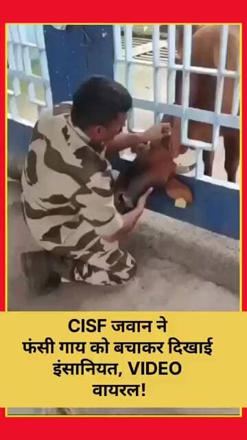 CISF जवान ने फंसी गाय को बचाकर दिखाई इंसानियत, VIDEO वायरल!