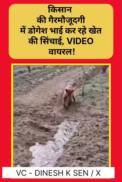 किसान का भरोसा नहीं टूटने दिया, डोगेश भाई ने संभाली खेत की कमान!