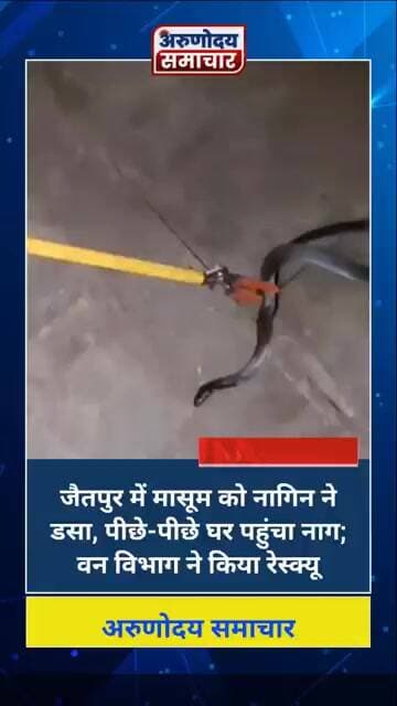 आगरा : जैतपुर में मासूम को नागिन ने डसा, पीछे-पीछे घर पहुंचा नाग; वन विभाग ने किया रेस्क्यू
