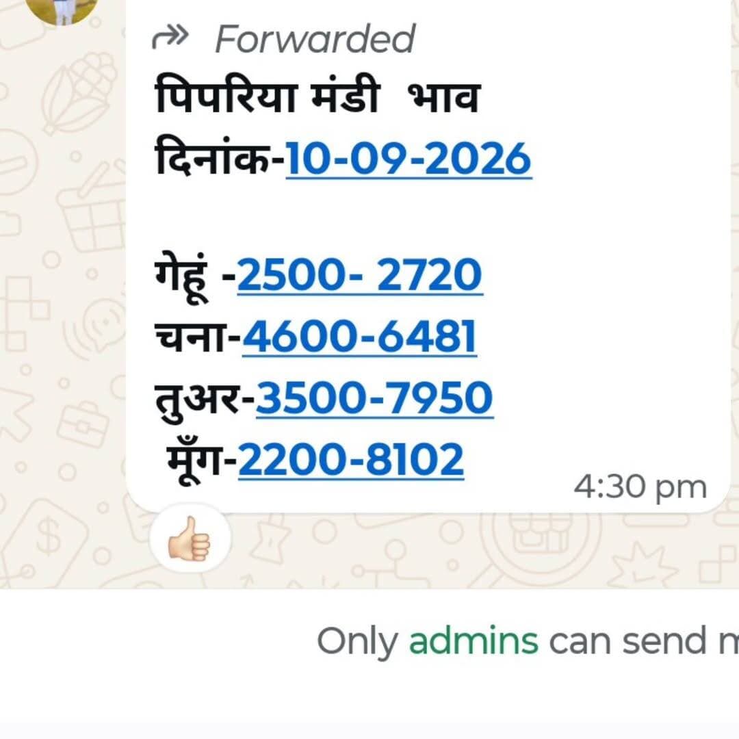Pipariya mandi 09/10/2026