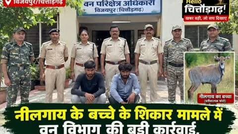 पहले चरण में सांवरिया सेठ के भंडार से निकले ₹7 करोड़ 53 लाख 60 हजार, 14 सितंबर को फिर खुलेगा भंडार… इधर नीलगाय के बच्चे के शिकार मामले में 2 आरोपी गिरफ्तार, न्यायिक अभिरक्षा में भेजे जेल!
