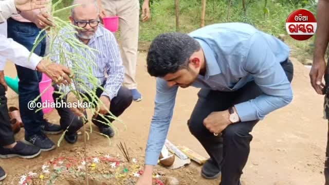 ବ୍ରଜରାଜନଗରରେ ୧.୧୨ ଲକ୍ଷ ଚାରା ରୋପଣ
