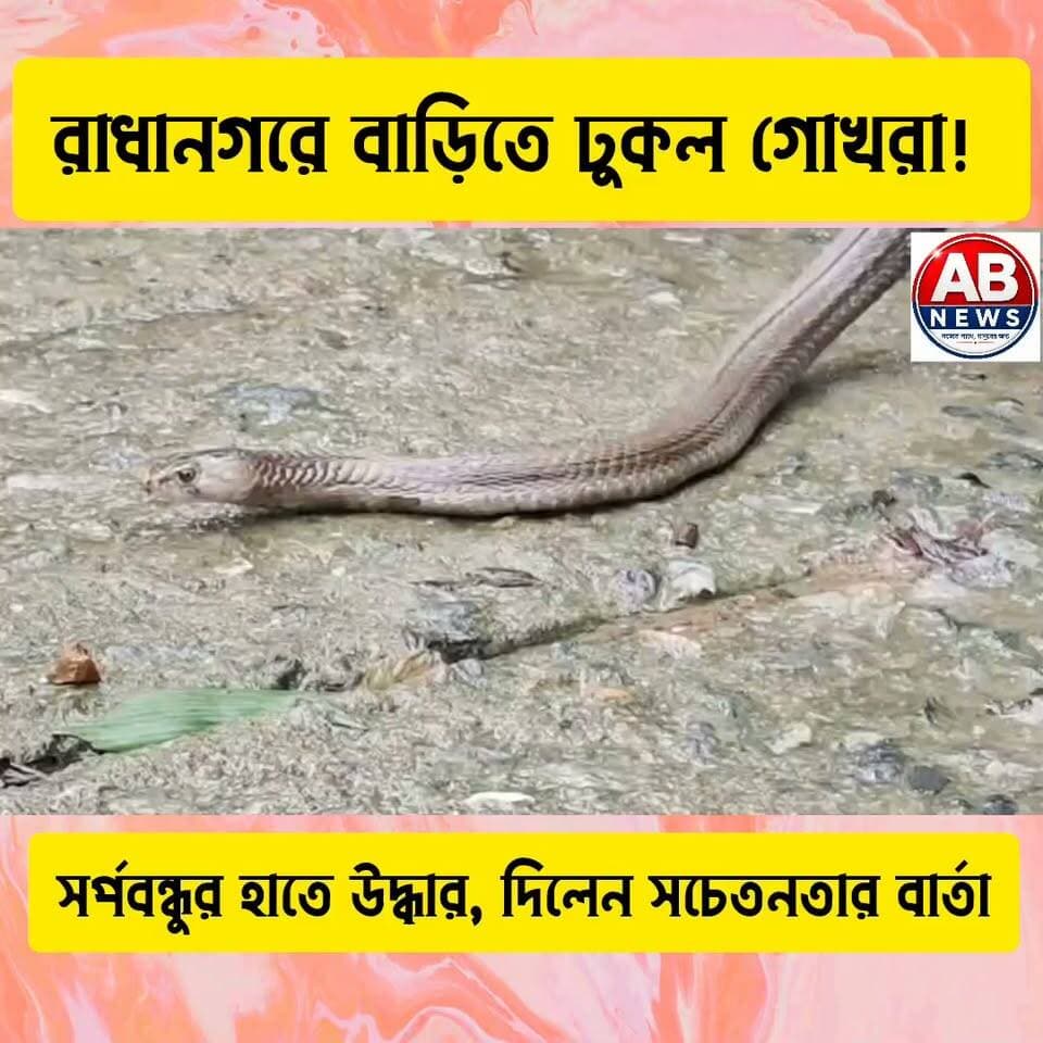 রাধানগরে বাড়িতে ঢুকল গোখরা! সর্পবন্ধুর হাতে উদ্ধার, দিলেন সচেতনতার বার্তা
#viralreelsシ #PostViral