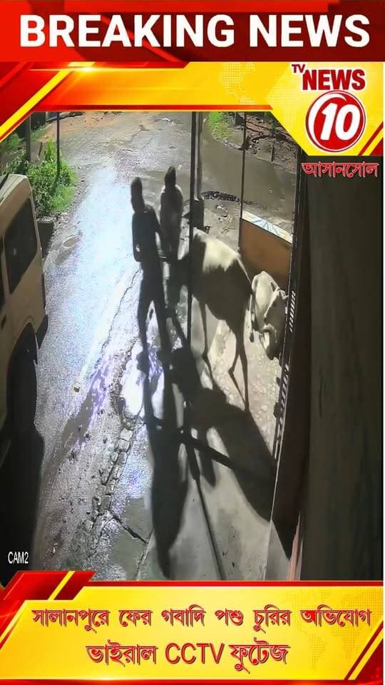 সালানপুরে ফের গবাদি পশু চুরির অভিযোগ, ভাইরাল CCTV ফুটেজ || আসানসোল || #NewsUpdate #Healthcare #humanity #tvnews10 #Durgapur #DurgapurNews #বাংলার_খবর #BreakingNews #TVNews10 #followerseveryone #followers #tvnews10 #localnews #follower #TMC #BJPNEWS #WestBengal #BreakingNews #LiveUpdate #BengalNews || https://public.app || website : www.tvnews10.com