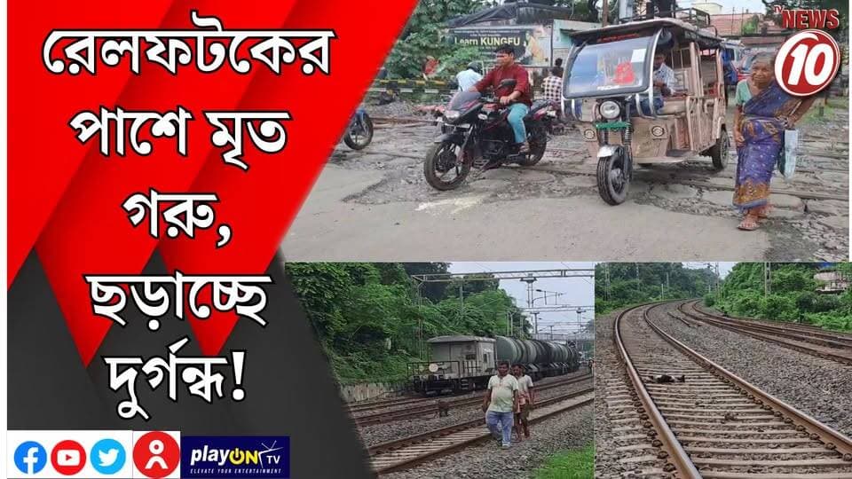 রেলফটকের পাশে মৃত গরু, ছড়াচ্ছে দুর্গন্ধ! || আসানসোল || #tvnews10 #LocalNews #follower #BJPNEWS #TMCNEWS #congress