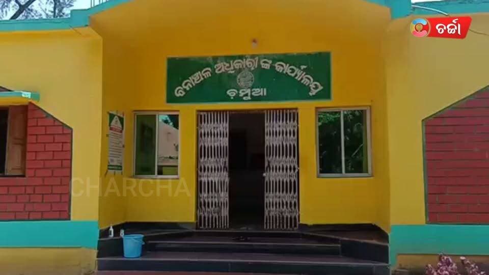 ଧାନ ବିଲରେ ଚାଷୀକୁ ଦଳିଦେଲା ହାତୀ। ଧାନ ବିଲରେ ହାତୀ ପଲ ଧାନ ଖାଉଥିବା ବେଳେ ହାତୀ ଘଉଡେଇବାକୁ ଚେଷ୍ଟା କରି ହାତୀ ଆକ୍ରମଣରେ ମୃତ୍ୟୁ ବରଣ କରିଛନ୍ତି ଚାଷୀ