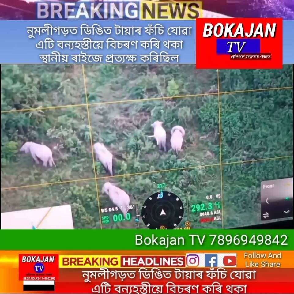 🛑অৱশেষত ট্ৰেংকুলাইজড কৰি হাতীৰ ডিঙিৰ পৰা আঁতৰোৱা হ'ল প্ৰকাণ্ড টায়াৰ
🛑১২ ঘণ্টাজোৰা অভিযানৰ অন্তত বন বিভাগে হাতীৰ ডিঙিৰ পৰা আঁতৰালে টায়াৰ
🛑পুৱাৰে পৰা নুমলীগড়ৰ বকীয়ালত এটা বন্যহস্তীয়ে ডিঙিত প্ৰকাণ্ড এটা টায়াৰ লৈ ঘূৰি ফুৰিছিল
🛑জাকৰ মাজৰ পৰা ফালৰি কাটি আহি হাতীটোৱে ডিঙিত সুমুৱাই লৈছিল এটা ট্ৰেক্টৰৰ টায়াৰ