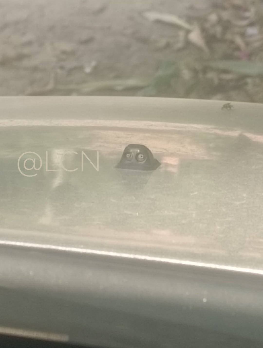 कोई बताएगा की यह क्या है.....बताओ बताओ... दिमाग़ लगाओ