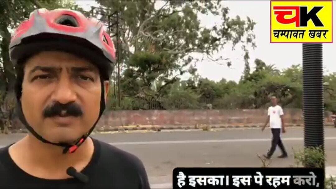 सड़क किनारे बंदरों को खाना खिलाने से पहले इस वीडियो को जरूर देखें...