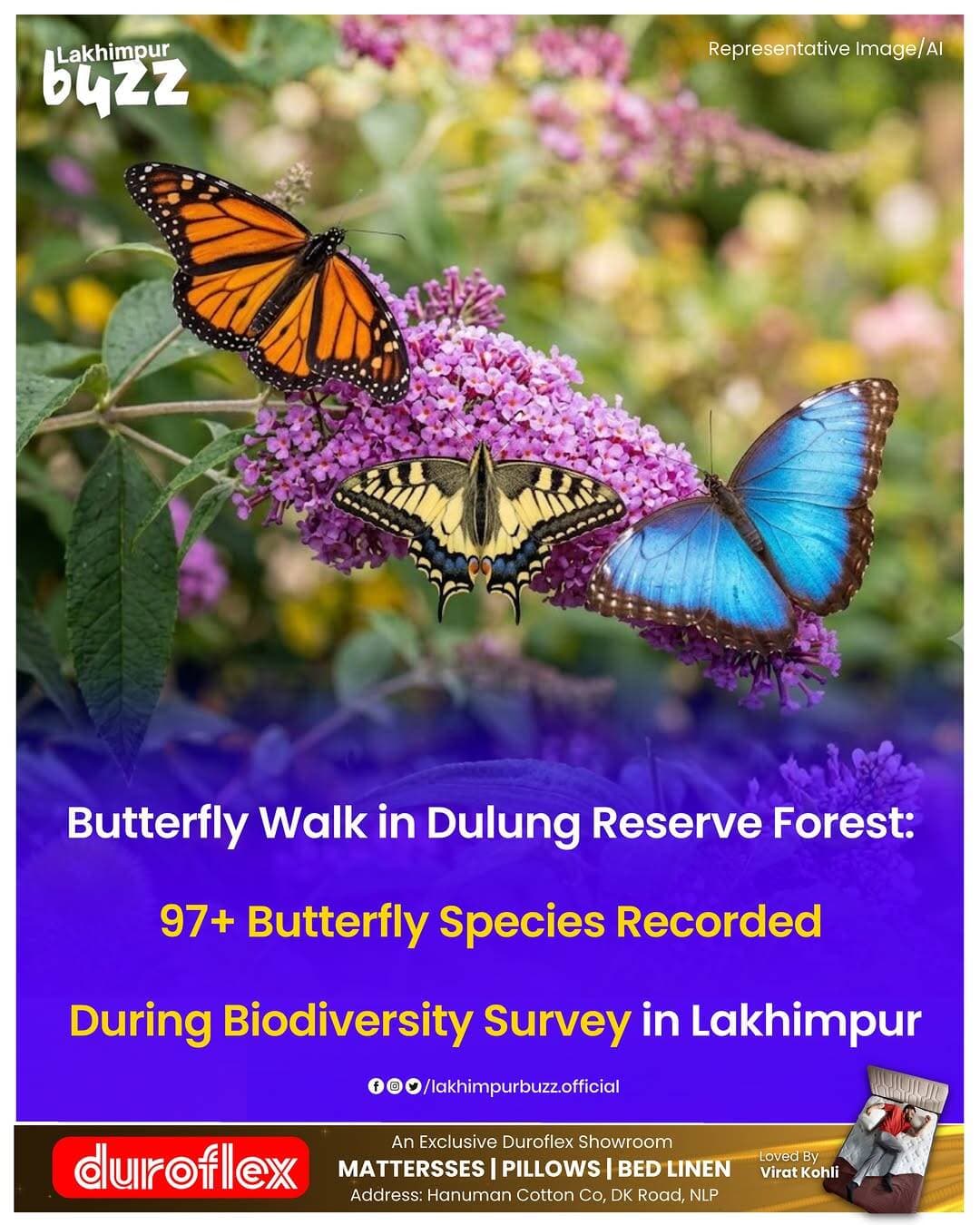<nis:link nis:type=tag nis:id=news nis:value=News nis:enabled=true nis:link/> || More than 97 species of butterflies were recorded during the third Lakhimpur Butterfly Walk 2026, held at Dulung Reserve Forest in Assam’s Lakhimpur district.
Organised by the Nature Conservation Society (NCS) under its flagship Project Pokhila – Butterflies of Assam, the event was part of Big Butterfly Month and brought together around 80 students, researchers, wildlife enthusiasts and nature lovers from across India.
Participants from Delhi, Uttar Pradesh, Gujarat, Rajasthan, Kerala and Bihar, along with nature enthusiasts from Assam, joined the biodiversity walk.
The survey also recorded more than 10 species of dragonflies and damselflies, while around 30 bird species were documented during the programme.
The walk was led by NCS chairman and Project Pokhila lead Loren Sonowal, along with Madhab Das, Tourism Development Officer, Department of Tourism. Apurba Sonowal and Kamal Moran also supported the field programme.
Beyond species documentation, the event gave participants hands-on exposure to butterfly identification, behaviour and habitats, while highlighting the importance of insects and biodiversity conservation.
The organisers said such field programmes can help strengthen local biodiversity documentation, conservation awareness and responsible nature-based tourism.
The programme concluded with the distribution of participation certificates to those who took part in the butterfly walk and biodiversity awareness initiative.
.
.
.
.
.
<nis:link nis:type=tag nis:id=lakhimpurbuzz nis:value=lakhimpurbuzz nis:enabled=true nis:link/>