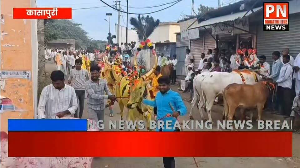कासापुरी येथे बैल पोळा सण उत्साहात साजरा...