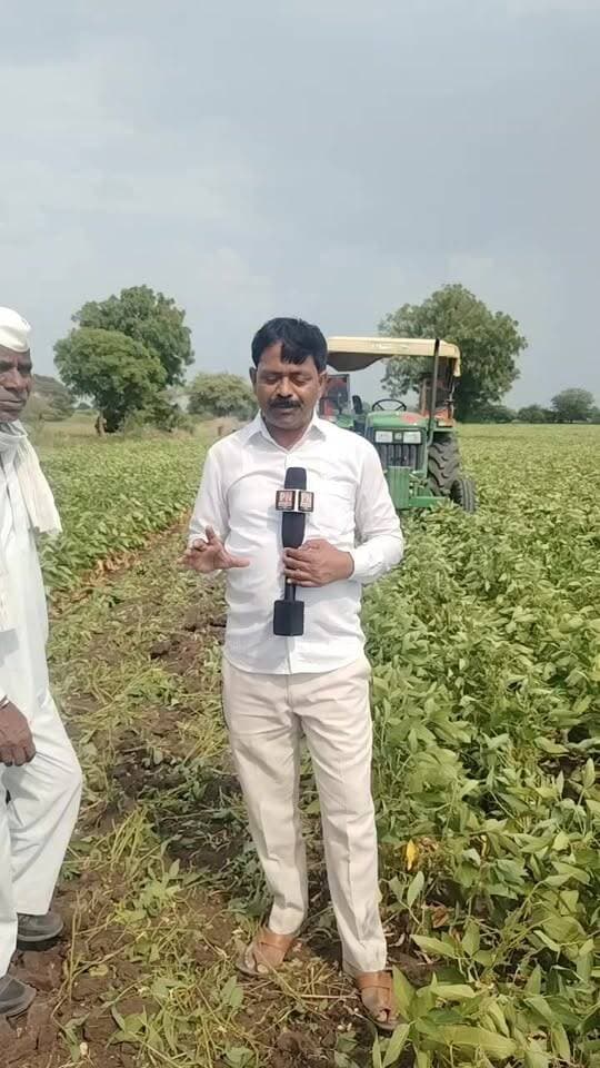 BEED माजलगाव तालुक्यातील सादोळा येथील शेतकऱ्यांनी 10 एकर सोयाबीनवर फिरवले रोटावेटर... पावसा अभावी शेतकरी चिंताचूर..