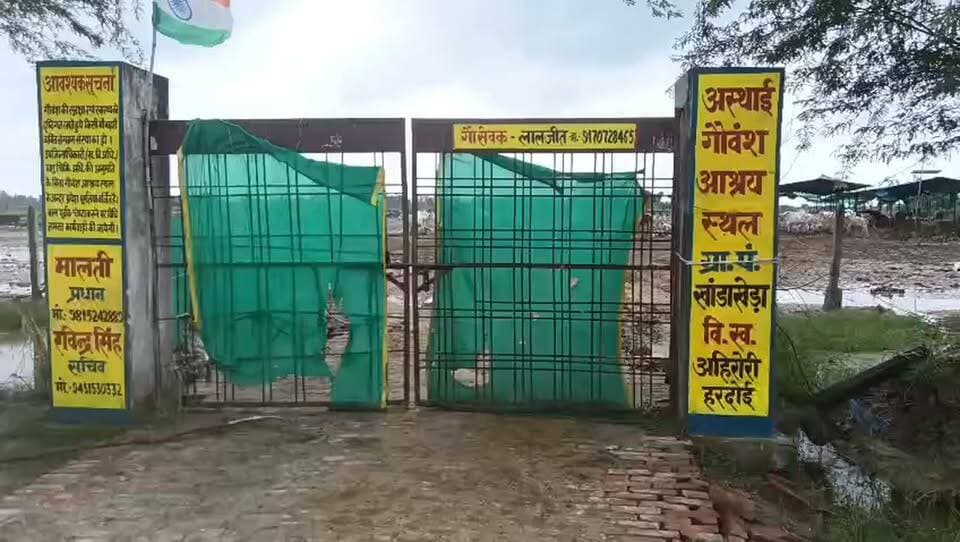 गौशाला में चारे की कमी से पशुओं की हालत खराब, लापरवाही के आरोप
हरदोई। विकासखंड अहिरोरी क्षेत्र की ग्राम पंचायत खांडाखेड़ा स्थित गौशाला में अव्यवस्थाओं का मामला सामने आया है। मौके पर पर्याप्त भूसा और चारा उपलब्ध नहीं होने की बात सामने आई है। चारे की कमी के चलते गौशाला में संरक्षित पशुओं की हालत खराब बताई जा रही है। वहीं, कुछ पशुओं की मृत्यु होने की भी जानकारी सामने आई है।
मौके पर साफ-सफाई की व्यवस्था भी संतोषजनक नहीं दिखाई दी। गौशाला परिसर में गंदगी और चारे की कमी को लेकर व्यवस्थाओं पर सवाल उठ रहे हैं। गौशाला में कार्यरत टेकर के अनुसार, मौके पर पर्याप्त मात्रा में भूसा और चारा उपलब्ध नहीं है, जिससे पशुओं को परेशानी का सामना करना पड़ रहा है।
ग्रामीणों ने गौशाला की व्यवस्थाओं को लेकर ग्राम प्रधान और सचिव पर पर्याप्त ध्यान नहीं देने के आरोप लगाए हैं। ग्रामीणों का कहना है कि पशुओं के लिए चारा, पानी और साफ-सफाई जैसी मूलभूत व्यवस्थाओं पर गंभीरता से ध्यान दिया जाना चाहिए।
मामले में संबंधित अधिकारियों से गौशाला का स्थलीय निरीक्षण कर पशुओं के लिए पर्याप्त भूसा, चारा और पानी उपलब्ध कराने के साथ साफ-सफाई की व्यवस्था दुरुस्त कराने की मांग की गई है। साथ ही पशुओं की मृत्यु के कारणों की जांच कर यदि लापरवाही सामने आती है तो जिम्मेदारी तय किए जाने की मांग उठ रही है।