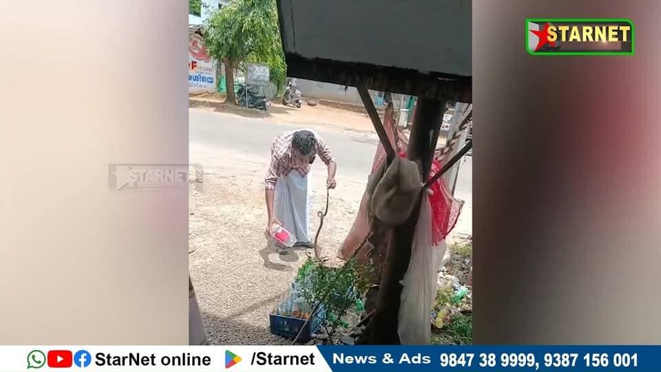 മംഗലം ഡാം സ്കൂളിന് പരിസരത്തെ ബസ്റ്റോപ്പിൽ നിന്നും മൂർഖൻ പാമ്പിനെ പിടികൂടി
വാട്സ്ആപ്പ് ഗ്രൂപ്പില് അംഗമാകുവാന്...👇🏻
https://chat.whatsapp.com/Dm3ELxEaZmwEtywU5uppif?mode=ems_copy_t
➖➖➖➖➖➖➖➖➖
വാർത്തകൾ വാട്സപ്പ് ഗ്രൂപ്പിലൂടെ അറിയാൻ 👇🏻
https://chat.whatsapp.com/L5d0OOyG4MiKs49xQDEfbj
( പ്രാദേശിക കേബിൾ ചാനലായ സ്റ്റാർനെറ്റിലേക്ക് വാർത്തകൾ അയക്കുന്നതിനും പരസ്യങ്ങൾ നൽകുന്നതിനും ബന്ധപ്പെടുക : 9387156001, 9847224453, 9847389999 ).
ലോകത്തെവിടെ ആയാലും, 🕐 ഏത് സമയത്തും StarNet വാർത്തകൾ കാണാൻ ഞങ്ങളുടെ ▶ യൂടൂബ് ചാനൽ സബ്സ്ക്രൈബ് ചെയ്യുക
👉 Youtube https://www.youtube.com/channel/UCUSkDDxCvDyv_aeqY5F7vvw
വാർത്തകൾ നിങ്ങളുടെ Facebook Feed ൽ 👉Facebook Page https://www.facebook.com/starnetnewsonline