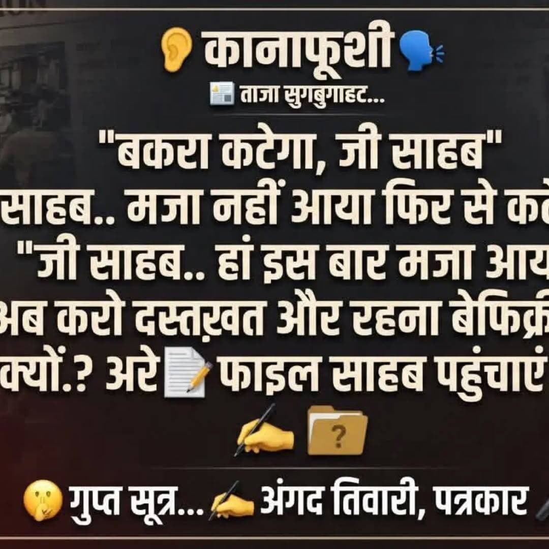 मेरा नया संस्करण